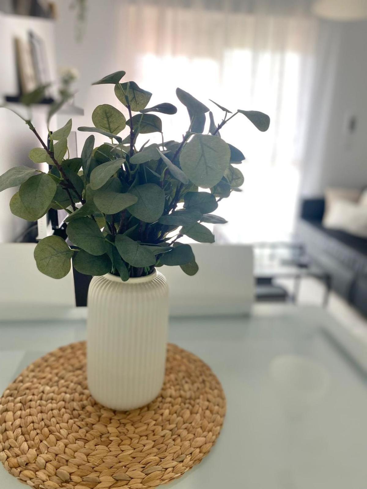 Apartamento Atlantico 罗塔 外观 照片